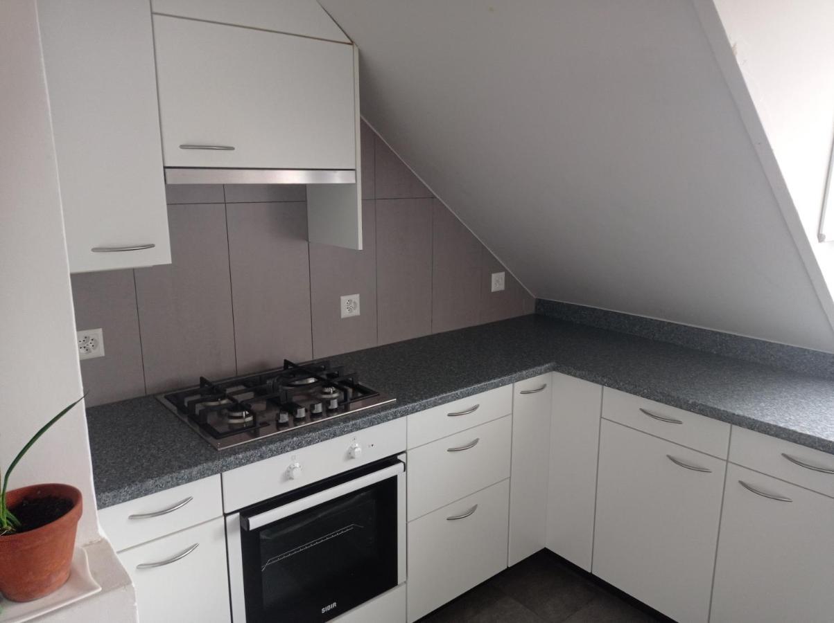 Gemuetliche Dachwohnung 세인트갈렌 외부 사진