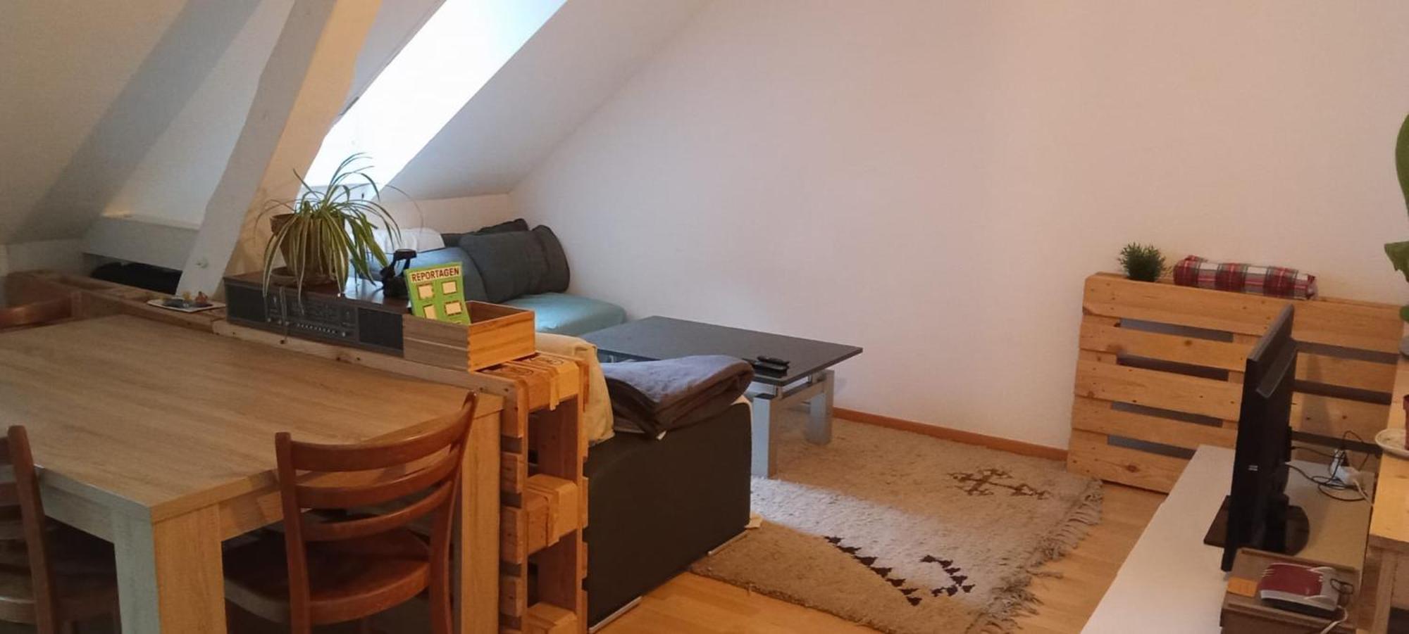 Gemuetliche Dachwohnung 세인트갈렌 외부 사진